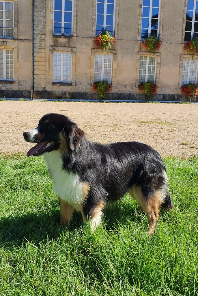 Roumba des Jardins de Becky