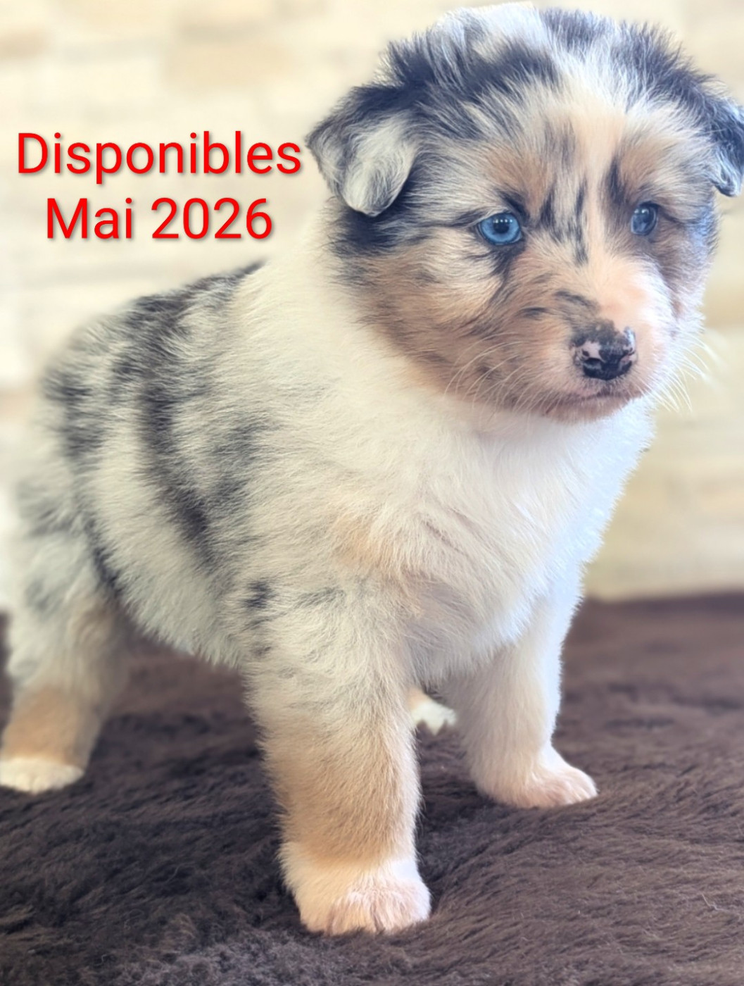 Ils rejoindront leur famille au mois de Mai